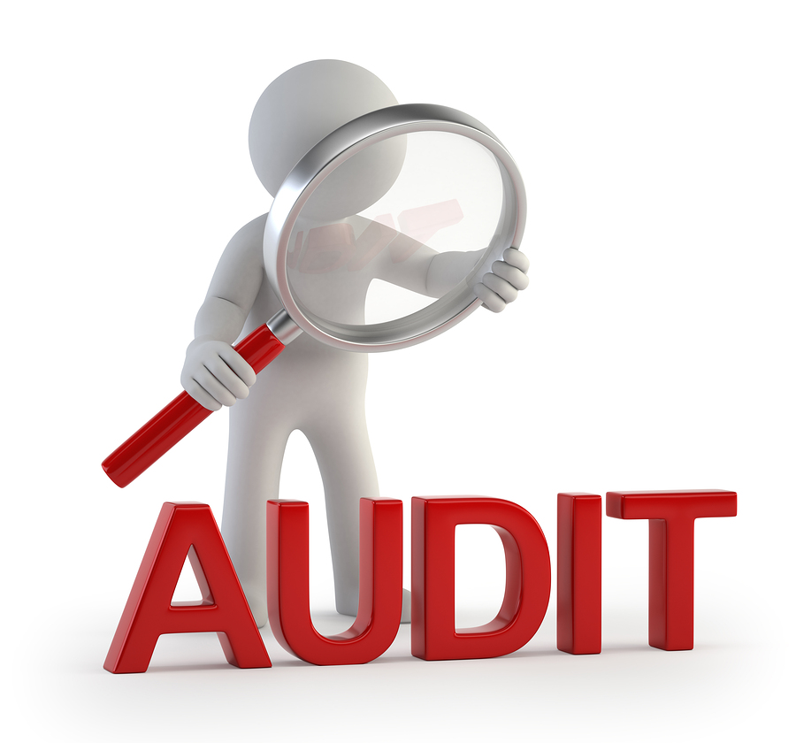 Basic Audit 